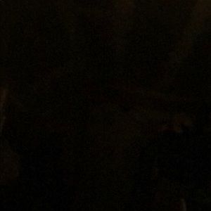 Meet your Posher, Jacqueline